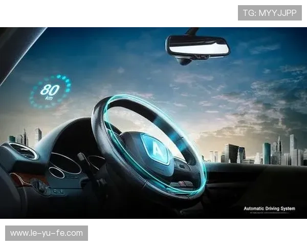 达姆斯高未来发展潜力巨大，行业前景引人瞩目