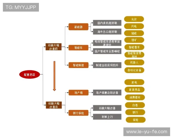 里昂重塑球队架构，年轻化与体系并行推进