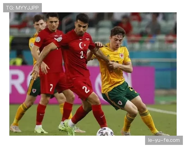 土耳其队欧预赛表现抢眼，强势冲击决赛圈